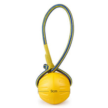 Load image into Gallery viewer, 1 PC Durable Pets Dogs Flying Discs Toys Summer Outdoor Playing Swimming Pool Floating Water Pets Chew Interactive Toy Handball